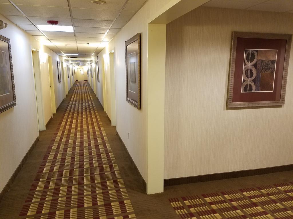 Days Inn By Wyndham Windsor Locks / Bradley Intl Airport Zewnętrze zdjęcie
